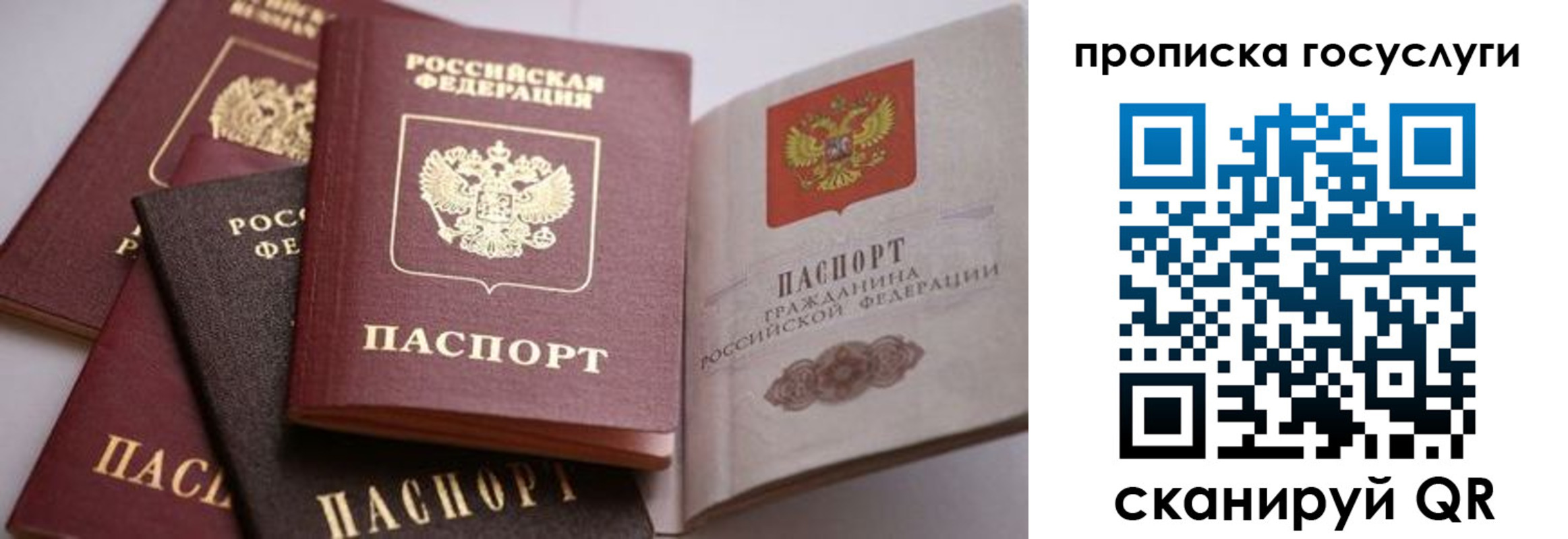 прописка иностранных граждан в Архангельске